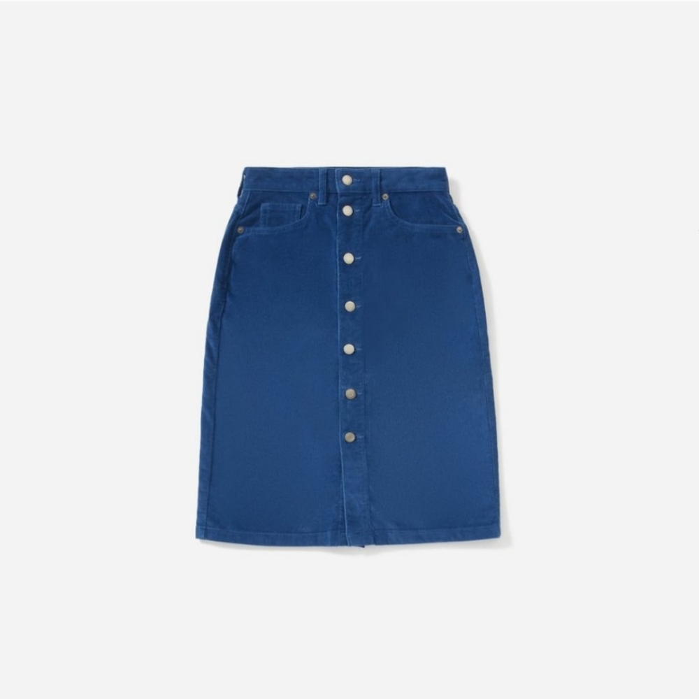 Everlane Blue Corduroy Button-down Skirt